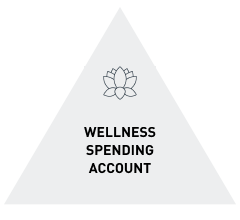 Wellness Spending Account